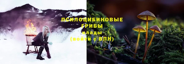 соль ск Верхний Тагил