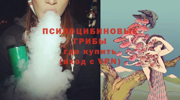 сатива Верхнеуральск